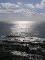 /album/seal-rocks/a13-seal-rocks-sun-jpg/